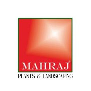 Mahraj Plants & Landscaping
