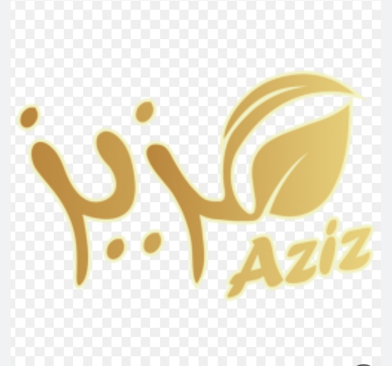 موسسه عزيز عبدالعزيز المطيري للمقاولات