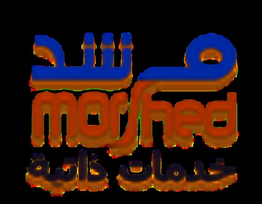 شركة الخدمات الذانية لتقنية المعلومات